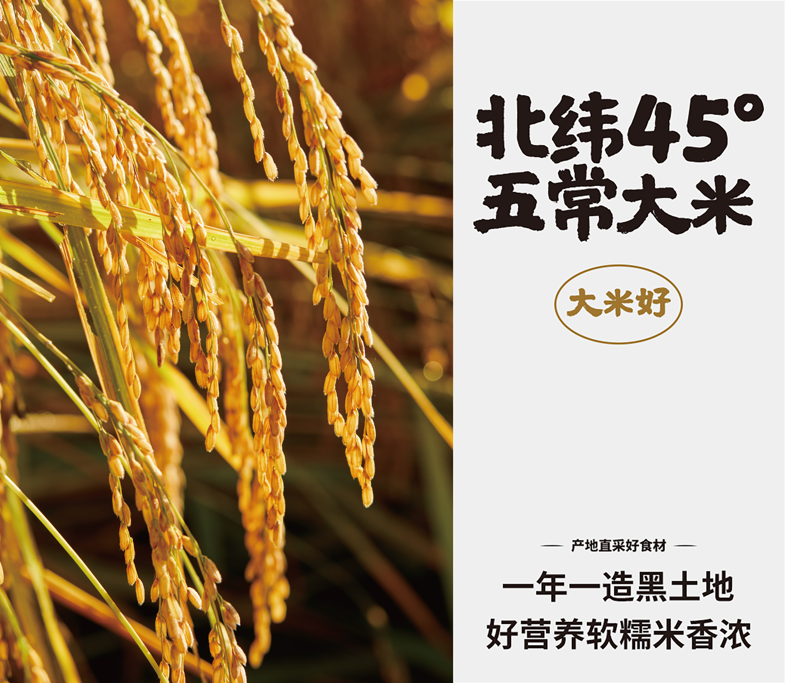 小木屋拌饭-大米好 小木屋拌饭-大米好